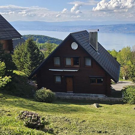 Chalet Les Alpages Vue Panoramique Sur Le Lac Leman Thollon-les-Memises Exterior photo