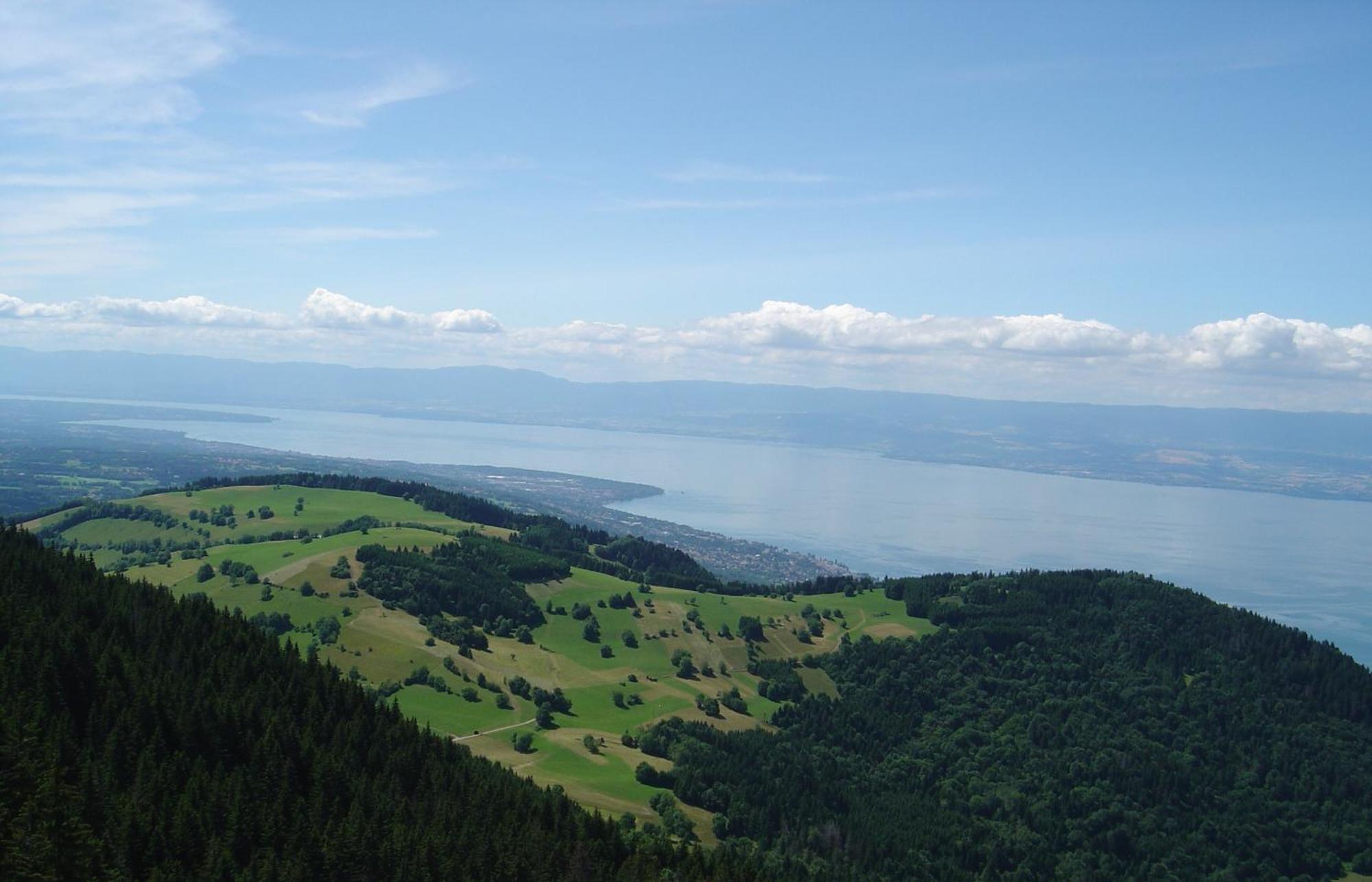 Chalet Les Alpages Vue Panoramique Sur Le Lac Leman Thollon-les-Memises Exterior photo