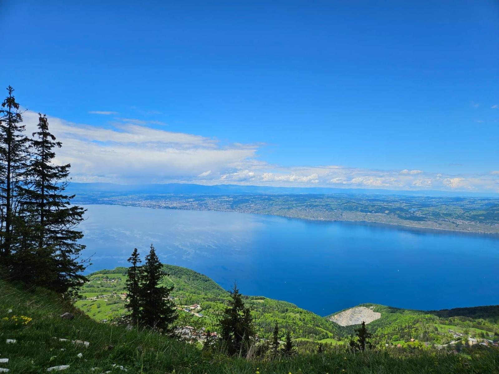 Chalet Les Alpages Vue Panoramique Sur Le Lac Leman Thollon-les-Memises Exterior photo