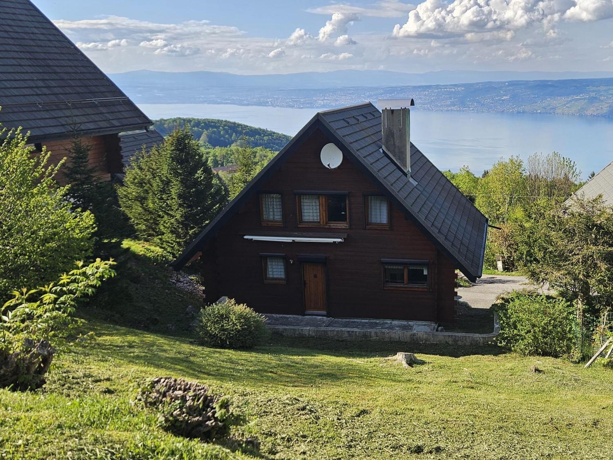 Chalet Les Alpages Vue Panoramique Sur Le Lac Leman Thollon-les-Memises Exterior photo